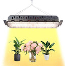 ff7fff7fffffffffe001e000dffefffffffff7fff7fff3e3f113f763f37ff000