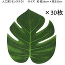 ffffc7fffffffcf9f83ff01fe82fe047e007d007c047c007c007e00fe10fffff