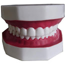 ffffffffc01f803f803fc003c007c01f807b80038003c00fc0ffe3ffffffffff