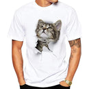 fe1ffe1ffffffffffe2ffe0ffe0ffe06ce1cce3ccdfccffccff8cff9effbeff3