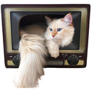 ffffffff800080008000a078a038a2f88f78af608f608f00cf00fffffeffffff