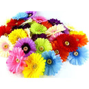 fdffffffcf3f007f0cff04e1dc41de81f203f2c3f5edf86ff83ff0fff0fff0ff