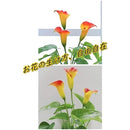 fffffefffefffce7fe6ffec0e101e0050007e001e001e001e001e001e001e007