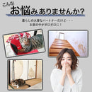 ffffbfffd8e3fffffffffeffa0ffcacfc8a5e182bf81ffd3fffbfeffe0ffd3ff