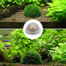 6187848f00b504281e20f7d003e0fffffb7bf3f89b7cf0e55303080510050000