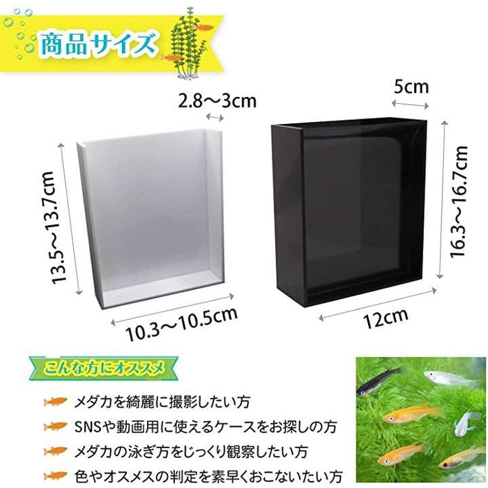 めだか 選別 ケース プロ仕様 撮影メダカ めだか容器 白黒セット 横見