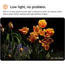 ffffffffe81fdfffffff8000801081088080804080008000800090008000ffff