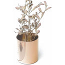 ff7fffa7fd7fffdffe8ffc7ffe1ffc7ffc1ffc1ffc1ffc1ffc1ffc1ffe1fffff