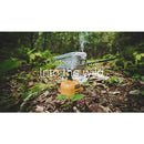 00f800d0004000001bc107e807f80ff01ff80ffc1ff40ff81ffc0fd80c300e98