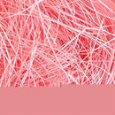 2cc62cc71625564ceb3ea324af03aec15be15b824cf581e5c0dbe0bfc1e6c1f8