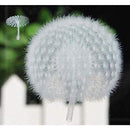 0000000023f007f80ffc0ffc1ffe1ffe1ffe0ffc6ffce7f8e7f8fff8fff8fff8