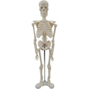 ffffff7fff7fff7ffe1ffe1ffe3fff7fff3ffebffebfffbfffbfffbfff3ffeff