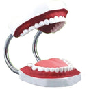 ffffff8ffc0ff80fe00fe21fcdffbdffbdffbdff9e0fd00fe003f003fe07ffff