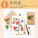 0000020020002000fffffbf1f171e3f1c0f1e3b1e4f1fbafed37fefffff3ffff