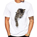 fe1ffe1fffffffffff0fff0ffe1ff61fccbccefccefccefccffccff9eff9e1f3