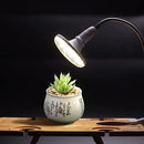 00000000000f0007004001c0018000c00000010003c007c007c003c0ffff1008