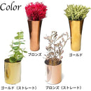 fffffcff8870fc70fcf9fcf9fcd1f4f1fc89ebefefcfc79fc79fc78fc7dfb7ef