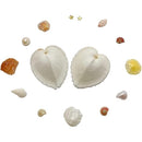 0000000001900c101c04166c5ff0fffbeffb0ff076e430040d900dd001800000