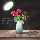 00001c003c00380031800720026003e003a001c001800180ffffffbaffff0000