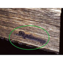 11ff3cbf136f2aeaba7d0feb827d53ef82bf003f183f1f0f01ef002e02060000