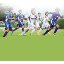 ffffffff5fff03f9003001d001d00080000000600000c013c09be1fff07fe07f