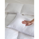 0200000003ef83c70383009880d281fe03f703c00ff03ffffaffff37ff0efe70