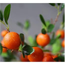 fff0dffcdffe9fdfdfdffee7fae3dfe3ffe3b3b2f1b0c120800e8004c0008010