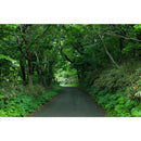 ffffffffffffffff0000010000000000000000000100000000000000ffffffff