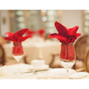 11ff00ff02ff08df80c3800003000fe04fe04fe0778037a07fbafff8ffffffff