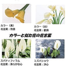 fffffdffd1f783fdc3f1fbe1ffffbf1fc80f85c525858d8101800001ff9fb73f