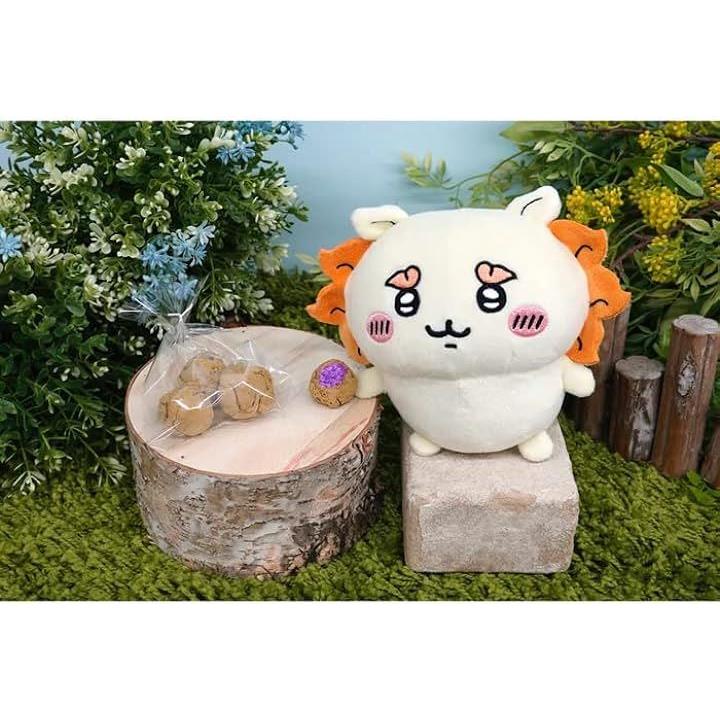 ffffffffffffa7f0c1c000fc00bc08b40f7813f80f18083802300000ffffffff