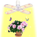 fffffeffeffffaebff5feddbe7f7e403ffffe88bfc2fe05bf02fc021f43fc001