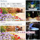 ffffffe0ffe4ffe484ae8024b3e0bfe1edeeffe0fff084e2a320e57485e0d8e0