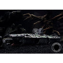 ffff010001f2000000400000002020e007e23ffe61ffc0004007000500150046