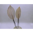 fffffbfffdff7fbf371e131e0c1c05380400000000000000ffbffebfffbffe9f