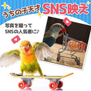 000140900ff07f0e8f00fb00ff00f600f06181c1f101f1f1f1ffeffff39fff9f