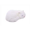 fffffffffffffffff817f007f007e003e003e003e007e01fe03ff07fffffffff