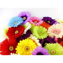 ffffffffff7fffefffe3ffc7e3afc2bfc29fc1ffc0c28040006e007900fe1899