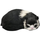 fffff87ff07fe0f3e0e3c0c1804080008021802180208023802d802dc01fe0ff