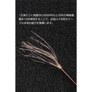 00052008110c9000f1c2040302062387e0a890a104a94039090e06002b190692