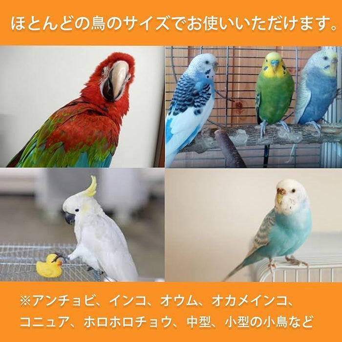 楽天市場】【プレミアム】W595×H650×D545 アクリル バードケージ