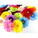 fcdf98f329c11ec108831a839e47b2fffabffc17fc5ffc7ffc7ffc0ffc4ffe8f