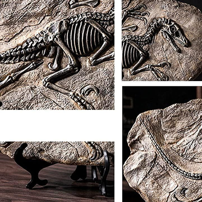 ◾️ 魚 化石 標本 21cm｜天然ヴィンテージ オブジェ インテリア 恐竜 化石 骨 インテリア アクアリウム オブジェ 化石標本 置物