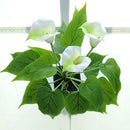 ffffff9fff9ffe1ffe3ffc2fc0ef80238041c001e001e001e003f807fdffffff