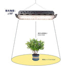 fffffffffdffe807f7f7fffff7ffffffffdffefffc3ffe1fff7ff003e003ff3f