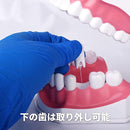 fffffffdfffffffde1ff803f001f003f0023000b004b004d000200071fff00ff