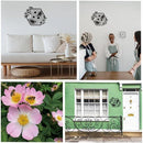 ffffffffebeff7efffdeff5ffe7a80528043fffea000c03ba07beb03f903b800