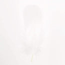 1fff1e7f1c3f1c3f0c3f0cff0fff0fff07ff03ff003b00310011000000000000