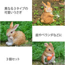 ff00ff00ff18ff08ff00000000ff00ff08ff00ff2000ff00ff00ff08ff00ff00