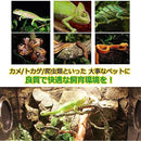 ffffc3cddaf1c201c201daa3cbc1c201c6e3e76704f80ff8977a8f0000e01440